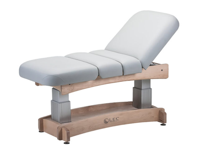 Ellora Vista Salon Massage Table