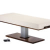 Living-Earth-Crafts-LEC-Pedestal-Flat-Massage-Top-Electric-Lift-Table