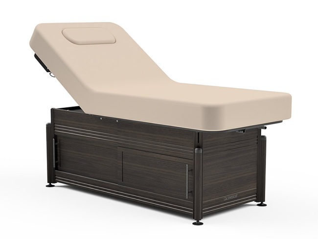 Oakworks-Clinician-Electric-Hydraulic-Lift-Assist-Backrest-Top