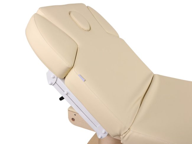 HZ-3838 Elite 4-Motor Electric Spa Treatment & Massage Table