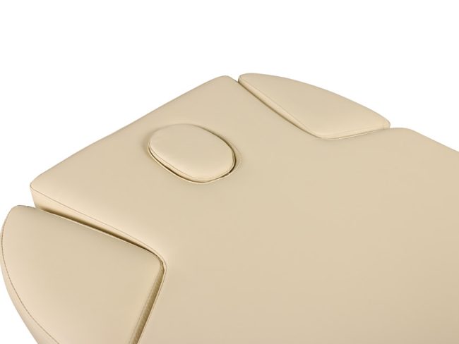 HZ-3838 Elite 4-Motor Electric Spa Treatment & Massage Table