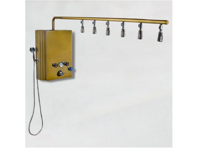 Water Werks Brass Monkey Vichy Shower with Cold Plunge