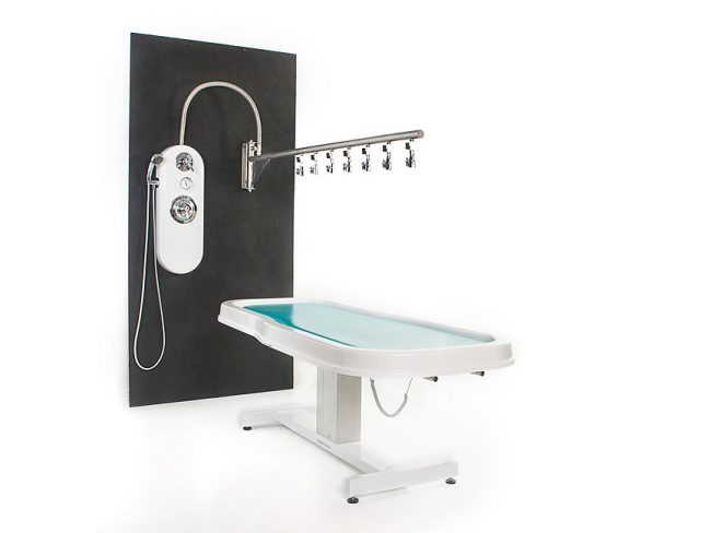 Alternative view of Water Werks Ditto Vichy Shower